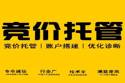 谷歌竞价实战：低成本高回报的广告投放